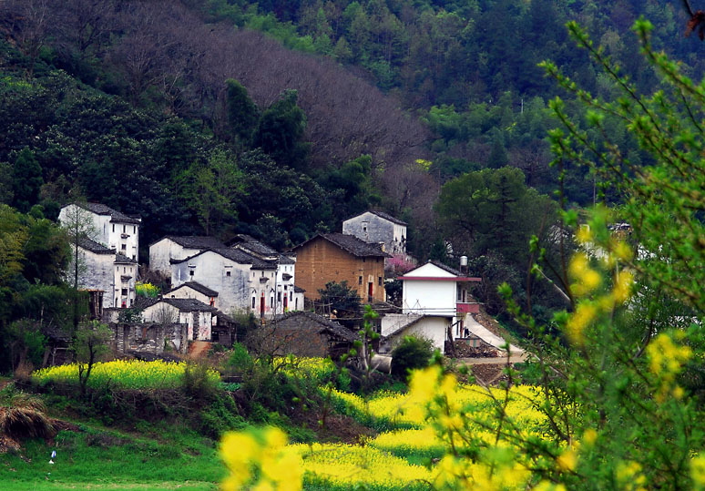 春映山村 摄影 傍水驿