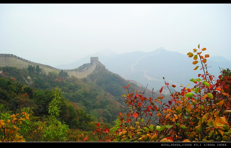 随拍小景 摄影 浪漫罗丹