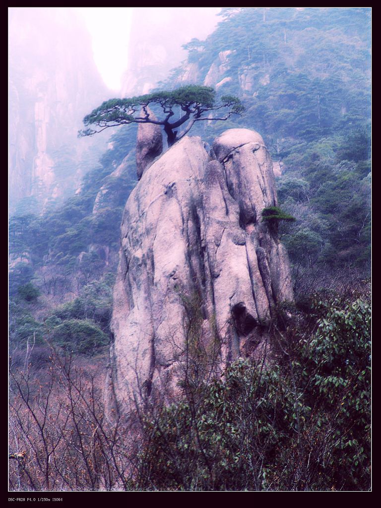 傲立 摄影 天空的蓝天