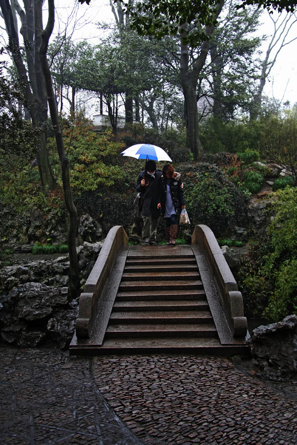 雨中情 摄影 赋欲