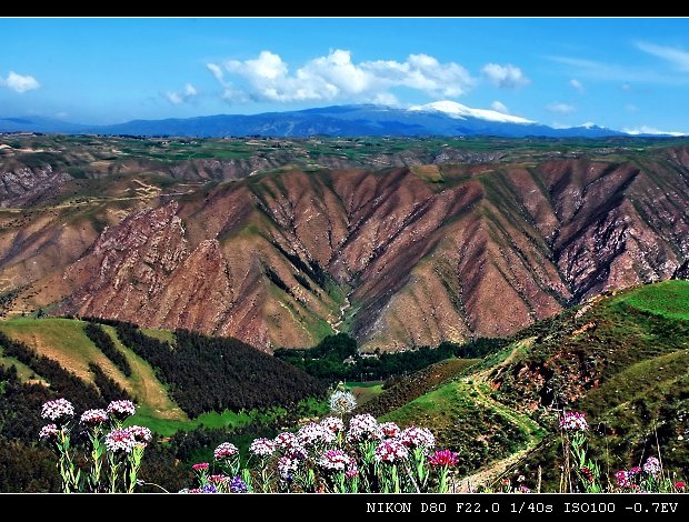 夏日风景 摄影 秦儿