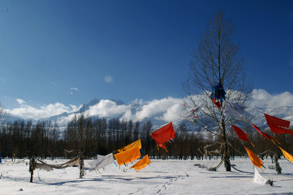 2009年的一场雪 摄影 雪域之子