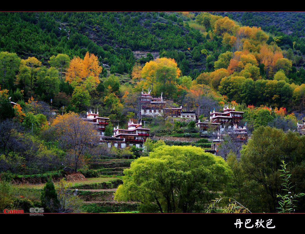 丹巴秋色 摄影 youzong