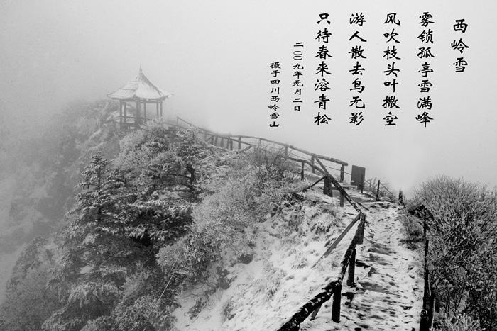 西岭雪 摄影 海波湛蓝