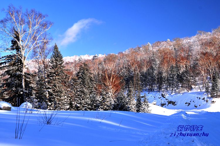 林海雪原 摄影 紫竹轩主