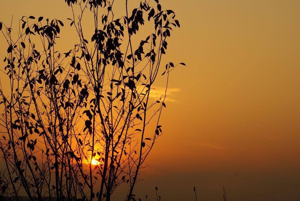 夕阳暮天 摄影 普天乐