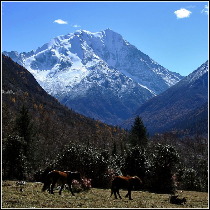 雪山下 摄影 youzong