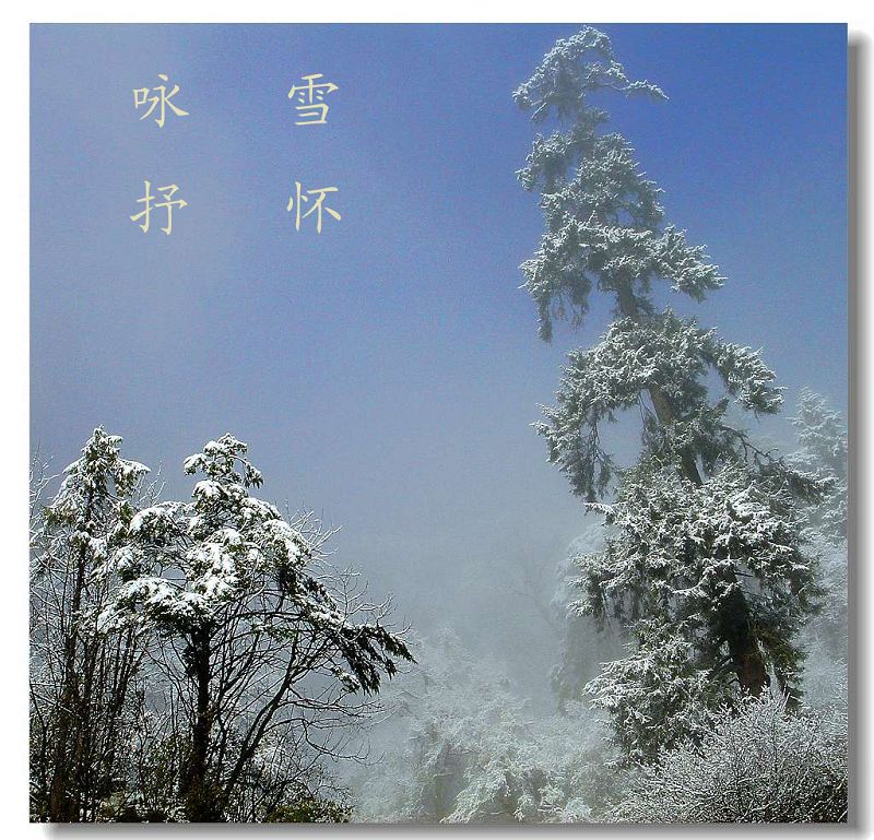 咏雪抒怀 摄影 藏地密码