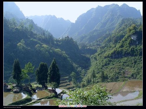 大山深处是我家 摄影 三禾人