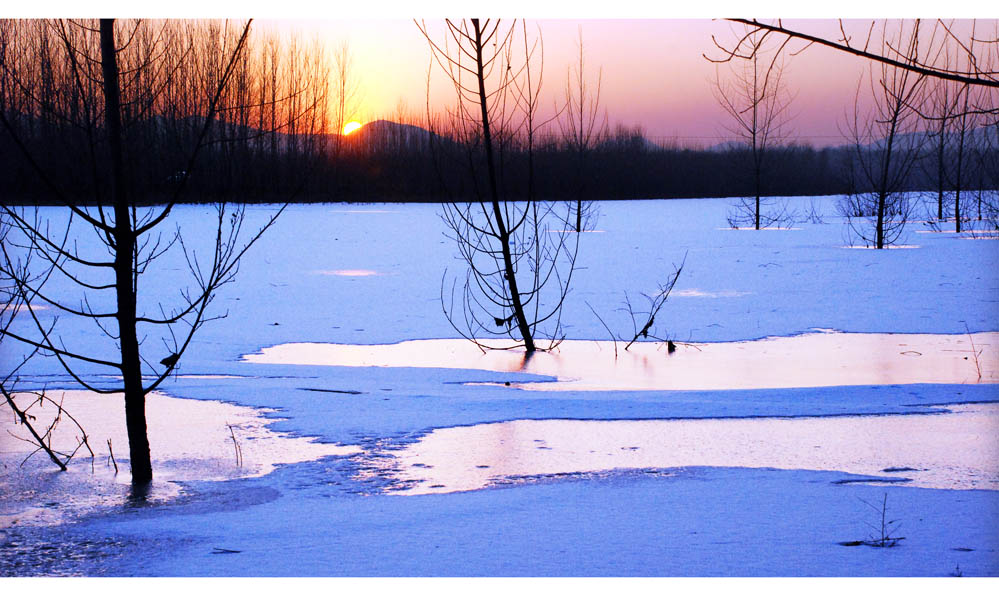 雪(血)色浪漫 摄影 读书狼馆主