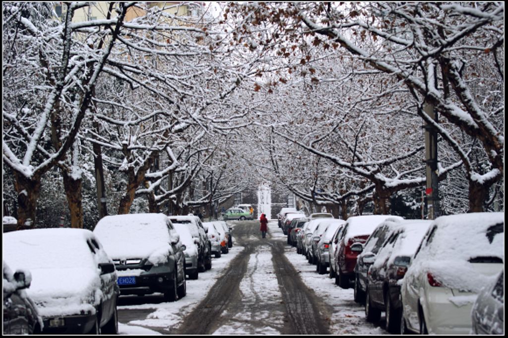 雪后街景 摄影 qdzp