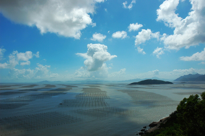 家乡的海--海上田园 摄影 寂寞海