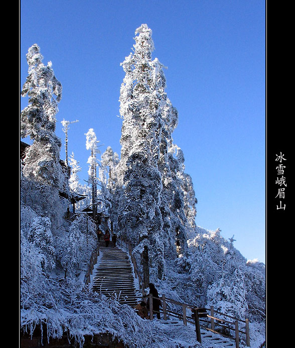 冰雪峨眉山__3 摄影 路明