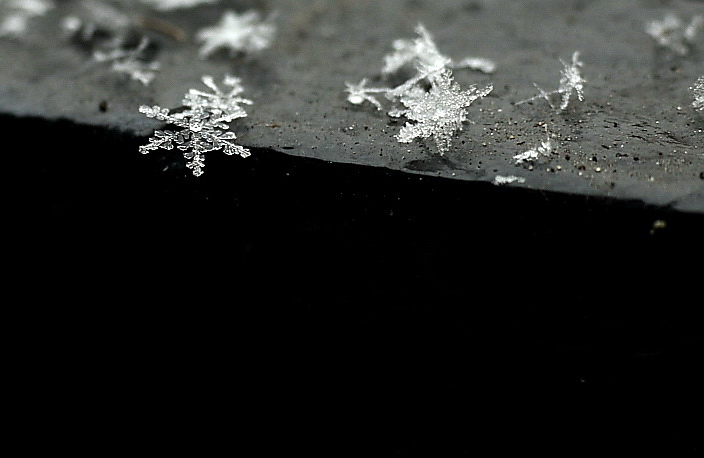 雪花 摄影 成风