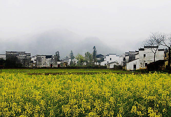 雨中婺原 摄影 喜欢乱来