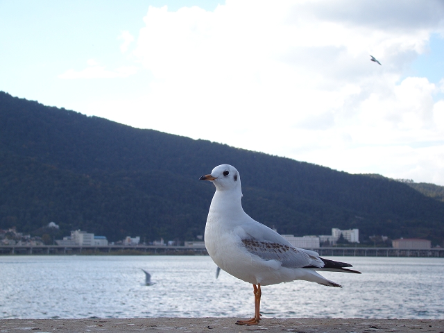 海欧 摄影 neoma