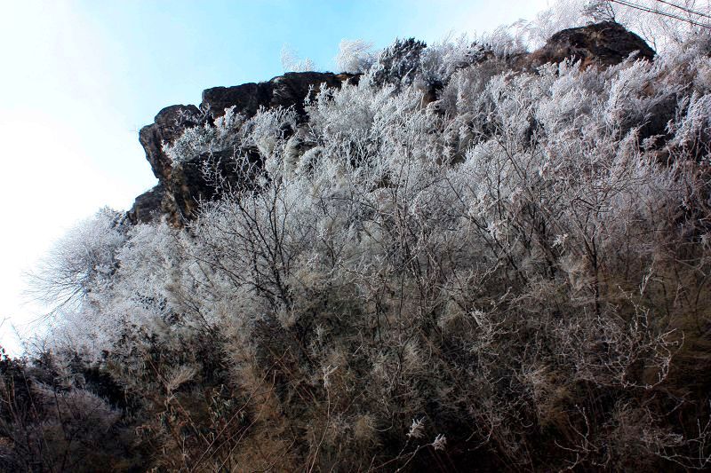 冰雪中的威顏 摄影 dengge