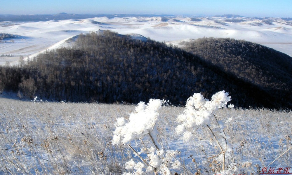 雪山远眺 摄影 草原老张