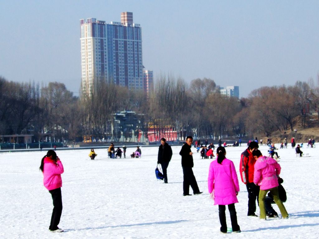 古城西宁印象（十八）——公园雪景 摄影 天篝