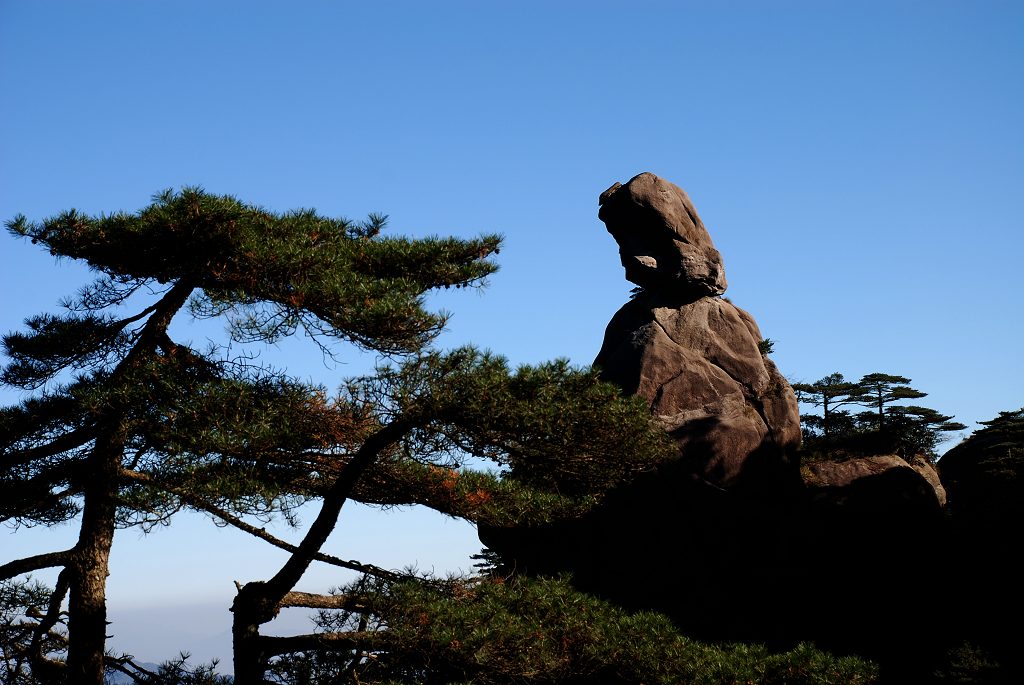 三清山——神女观海 摄影 r201t