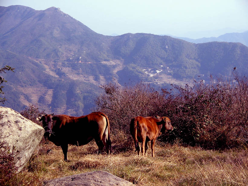 玉华山之旅 摄影 马兰草