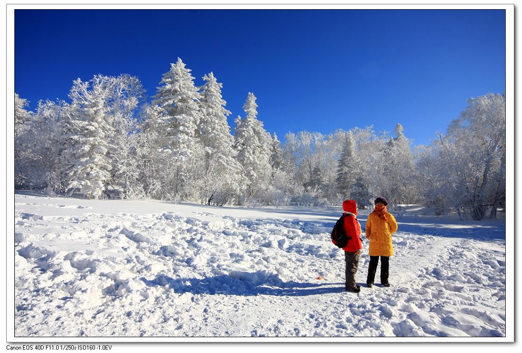 雪山巧遇赏风光 摄影 炉火纯青