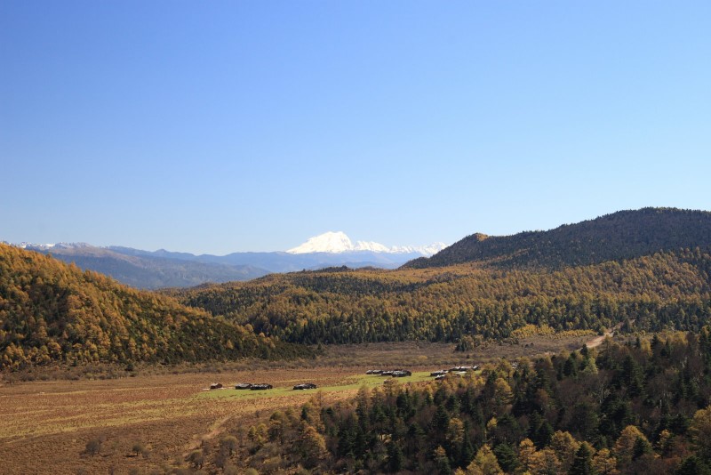 石卡雪山下的秋日草原 摄影 luweichenga