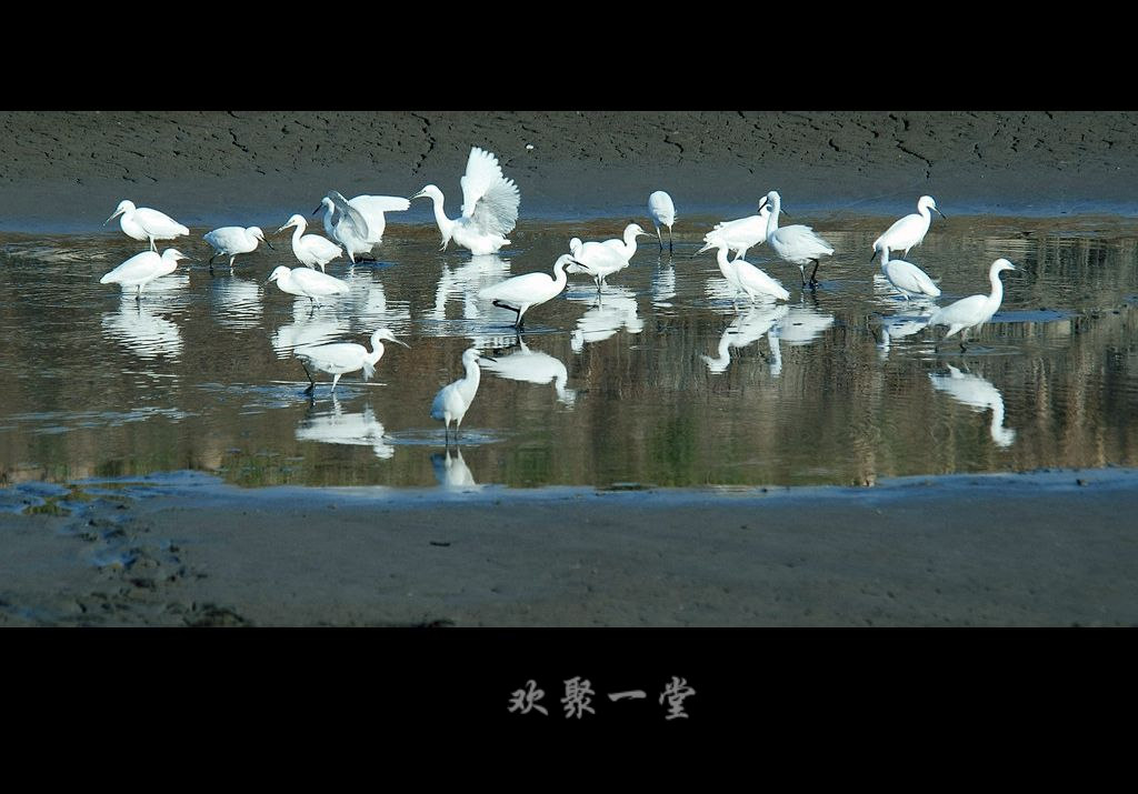 欢聚一堂 摄影 空中花园.