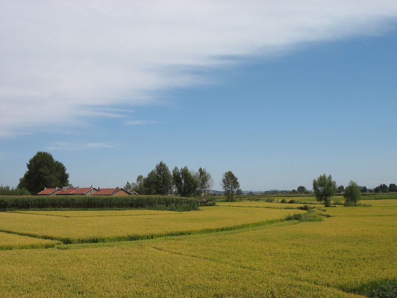 乡村风光 摄影 行走江湖