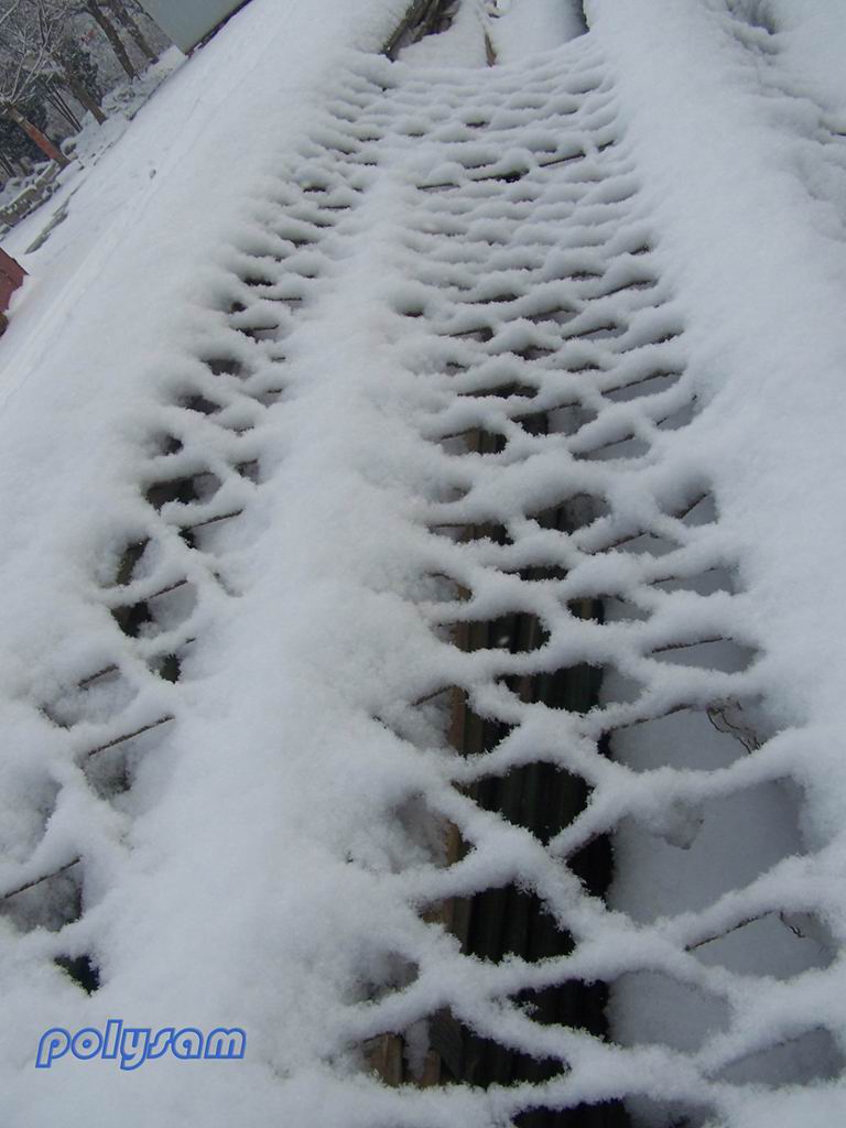 雪中阑珊 摄影 沈龙