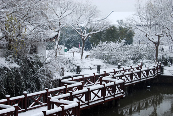 雪后小景 摄影 昆仑客