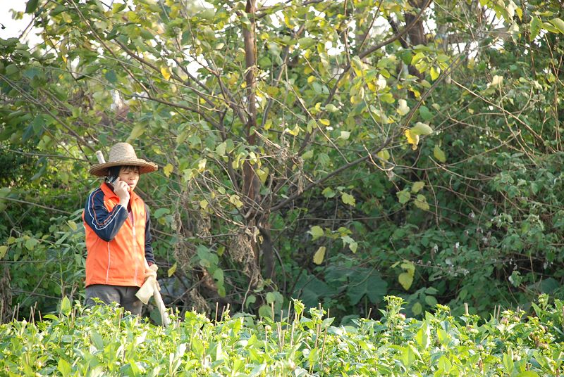 花农 摄影 邊緣