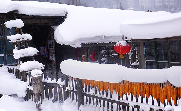 我眼中的雪乡 摄影 杜海高