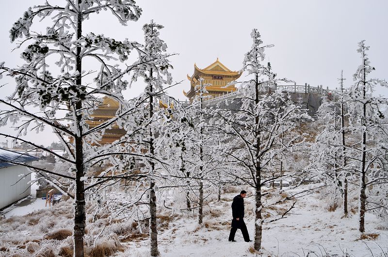 峨眉山雪景 摄影 弈天