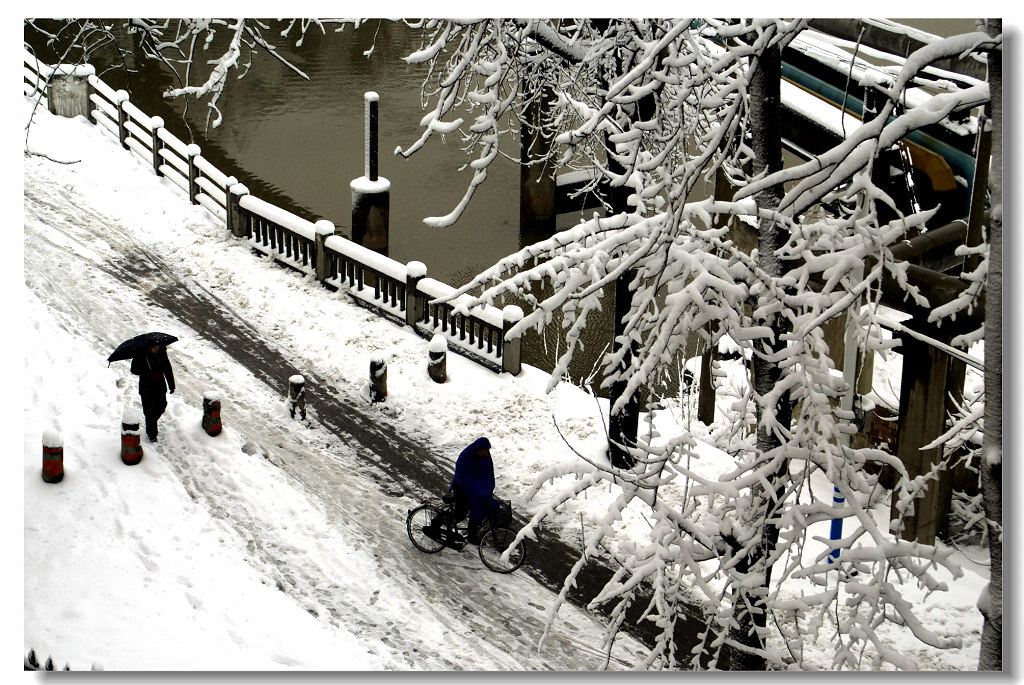 濠河雪景之三 摄影 静海愚公