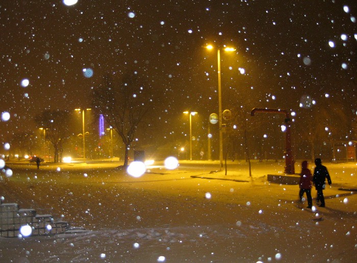 风雪夜路 摄影 飞扬的梦