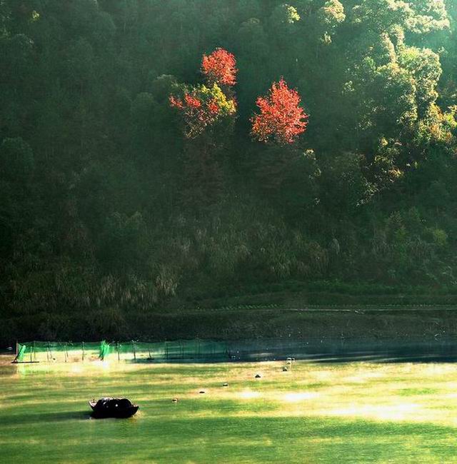 绿水岸边红枫艳 摄影 liwj