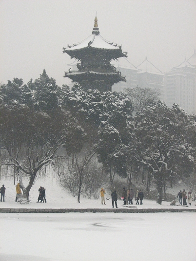 08傲雪 2 摄影 mao88