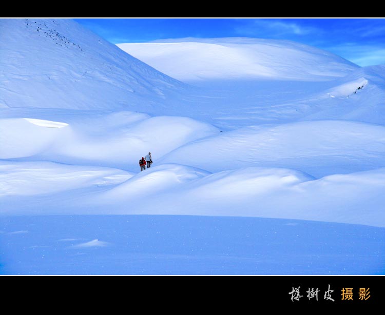 雪域深处 摄影 桦树皮