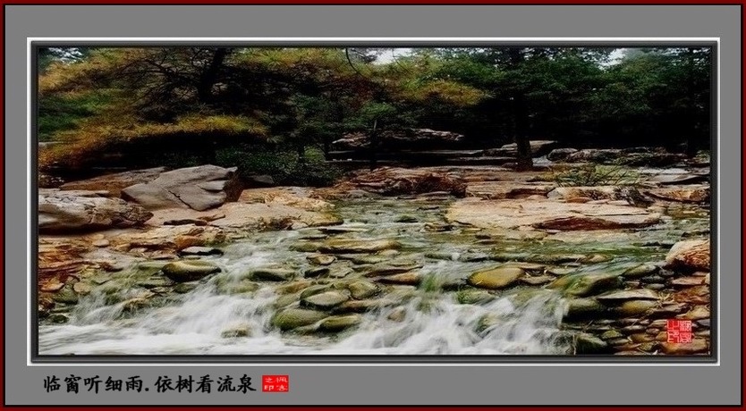 依树看流泉 摄影 木子风