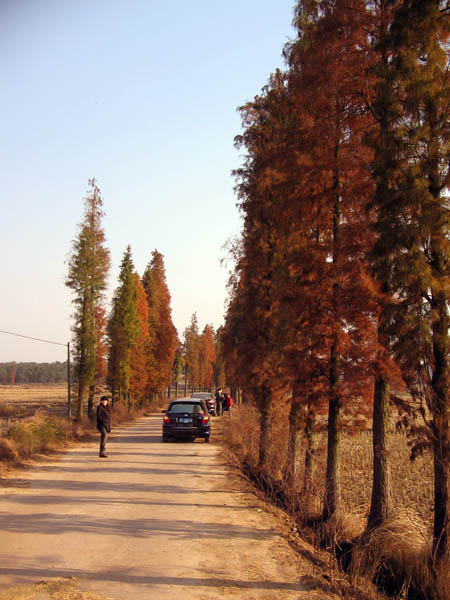 玉华山之旅 摄影 马兰草