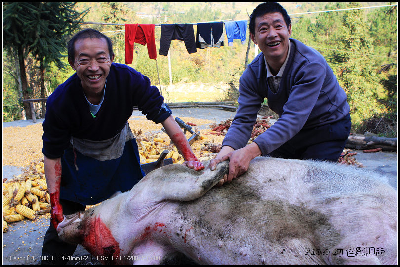 杀猪过年 摄影 色影狙击