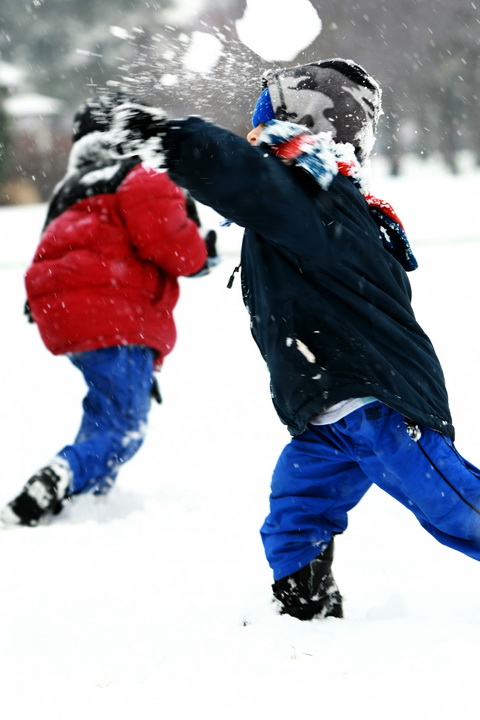 打雪仗 摄影 成风