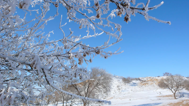 雪与沙 摄影 清洌