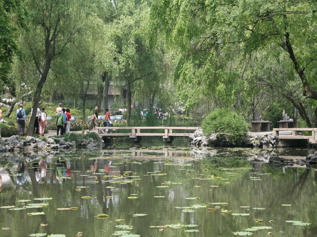 初夏的苏州拙政园 摄影 清水鱼