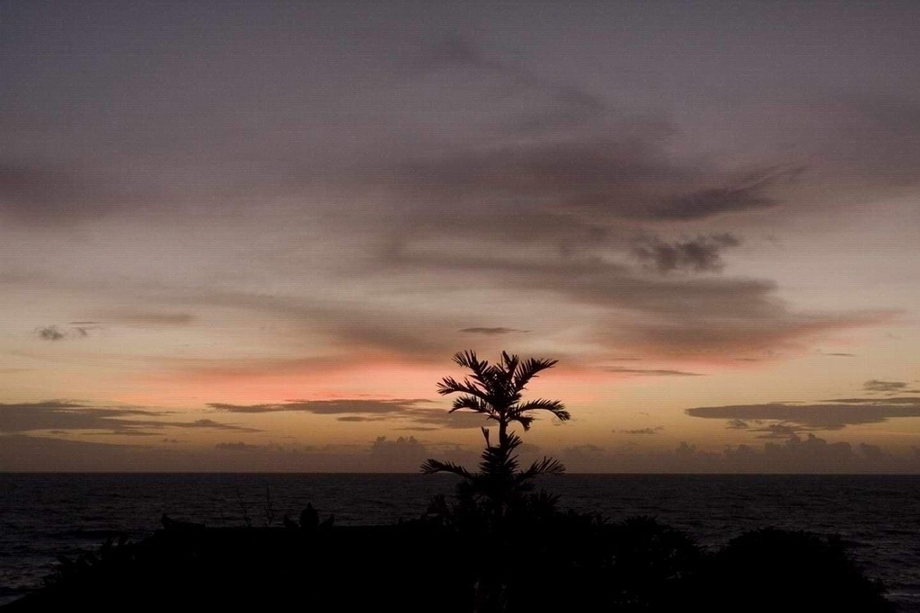 夕阳醉了 摄影 好色扬扬