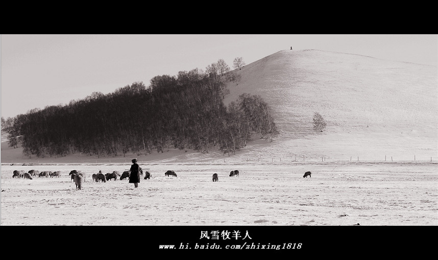 风雪牧羊人 摄影 以摄会友