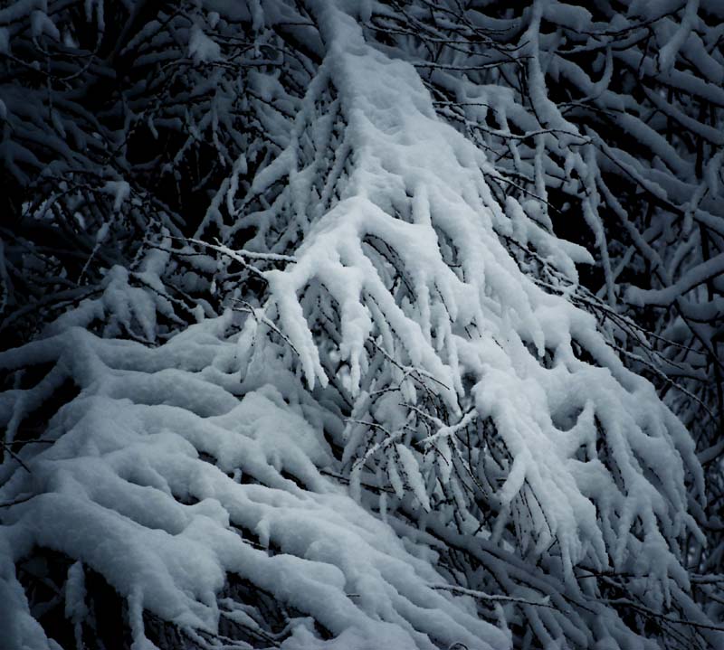 瑞雪兆丰年 摄影 喜来乐