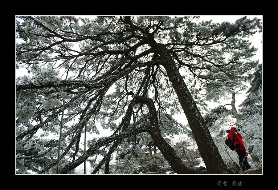 新年第一贴——新年好！ 摄影 闻雪