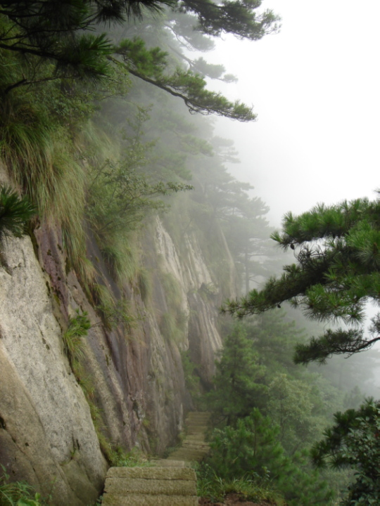 九华山 摄影 上甘霖